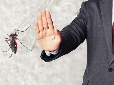 About Monarch Bed Bug Inspection - bed bug inspection experts in Monarch