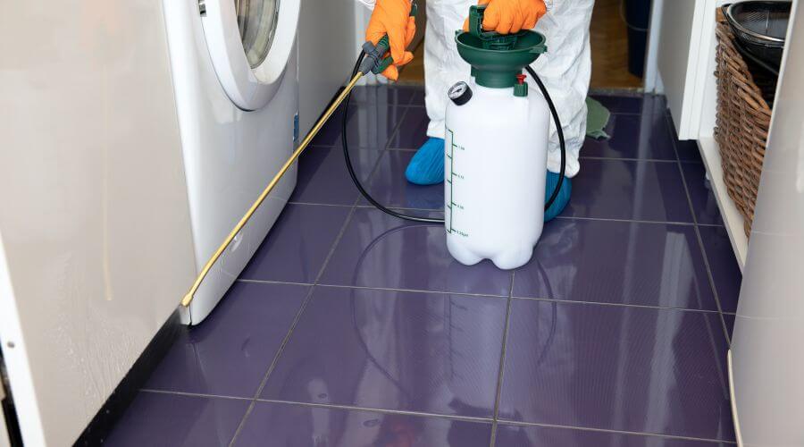 Why choose Monarch Bed Bug Inspection for bed bug inspection in Monarch